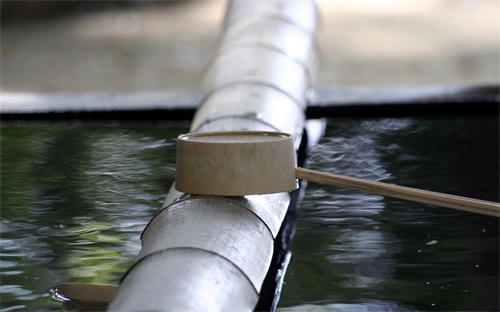 吉林水蛭养殖基地,水蛭养殖注意事项